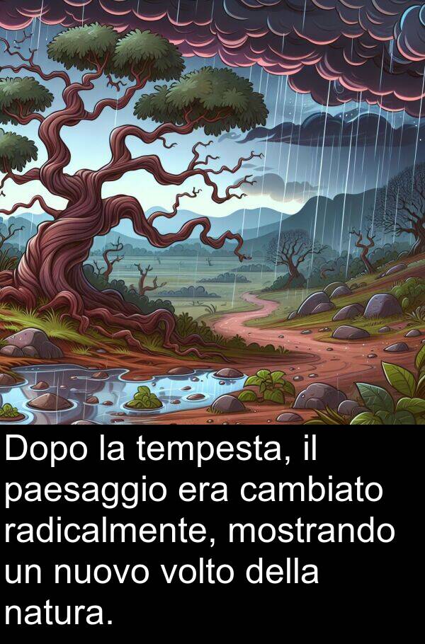 paesaggio: Dopo la tempesta, il paesaggio era cambiato radicalmente, mostrando un nuovo volto della natura.