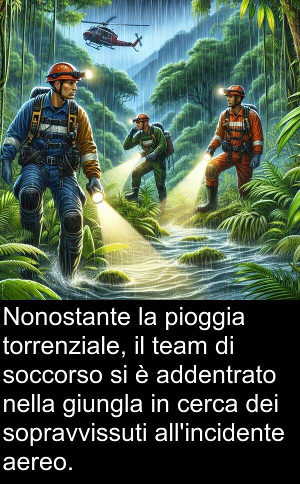 team: Nonostante la pioggia torrenziale, il team di soccorso si è addentrato nella giungla in cerca dei sopravvissuti all'incidente aereo.