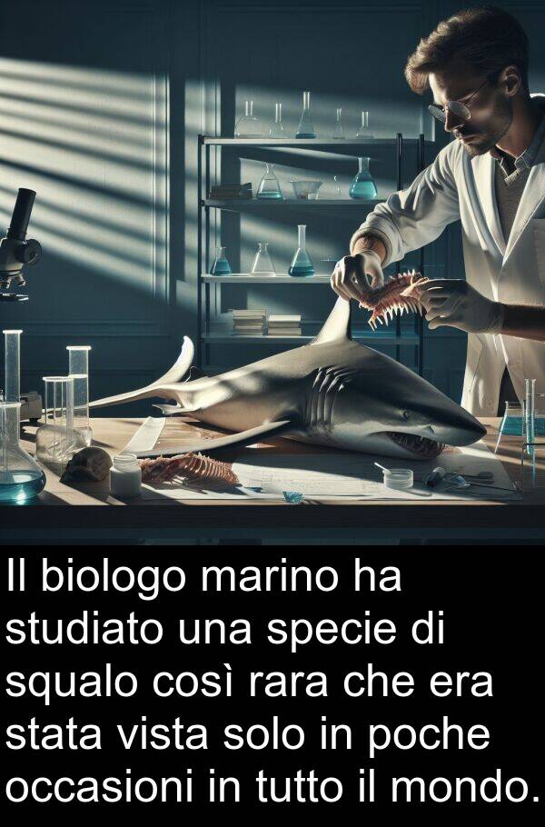 marino: Il biologo marino ha studiato una specie di squalo così rara che era stata vista solo in poche occasioni in tutto il mondo.