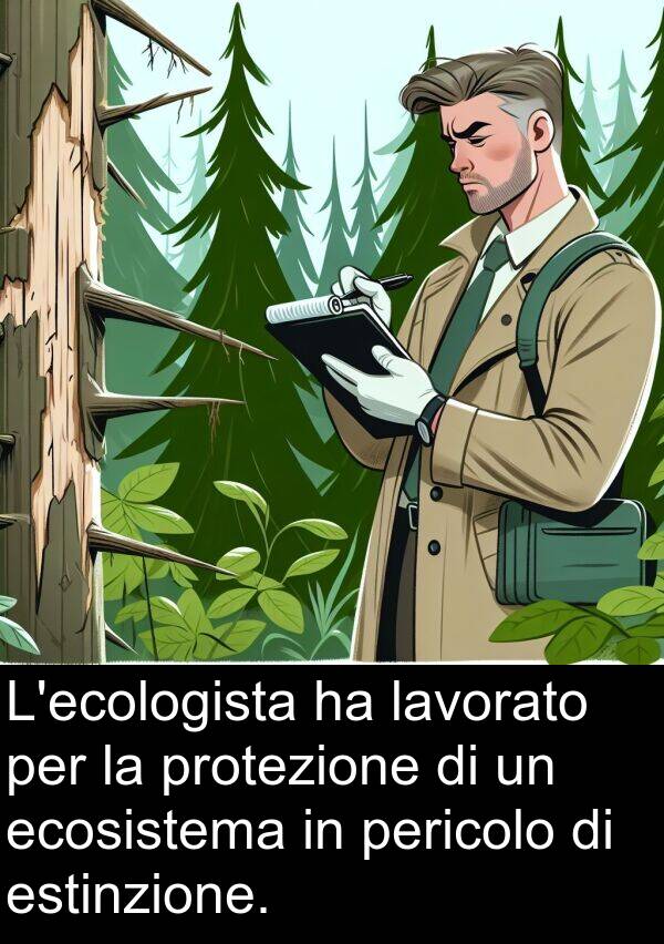 lavorato: L'ecologista ha lavorato per la protezione di un ecosistema in pericolo di estinzione.