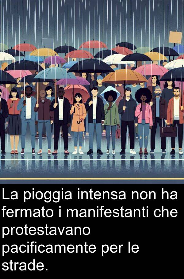 pacificamente: La pioggia intensa non ha fermato i manifestanti che protestavano pacificamente per le strade.