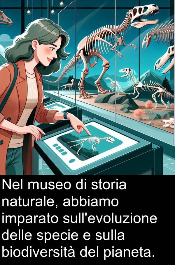 abbiamo: Nel museo di storia naturale, abbiamo imparato sull'evoluzione delle specie e sulla biodiversità del pianeta.