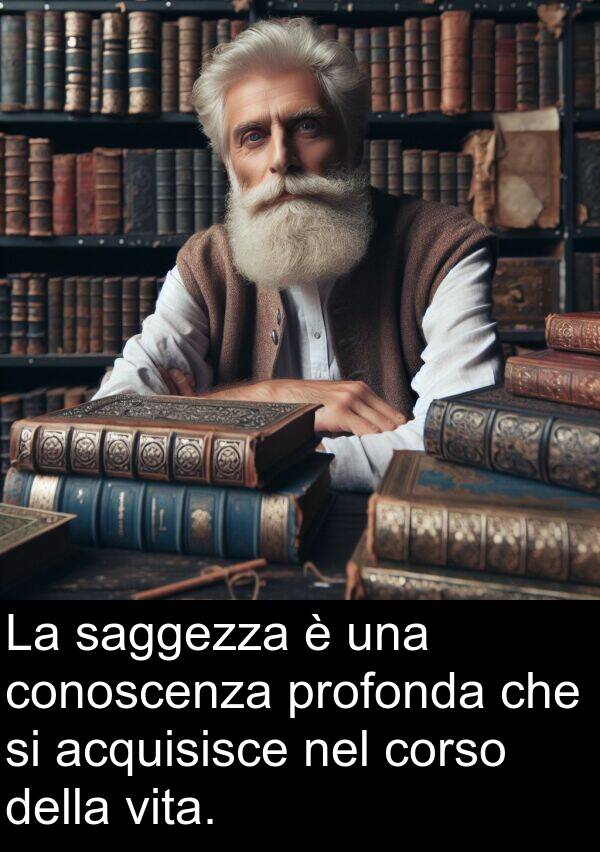 acquisisce: La saggezza è una conoscenza profonda che si acquisisce nel corso della vita.