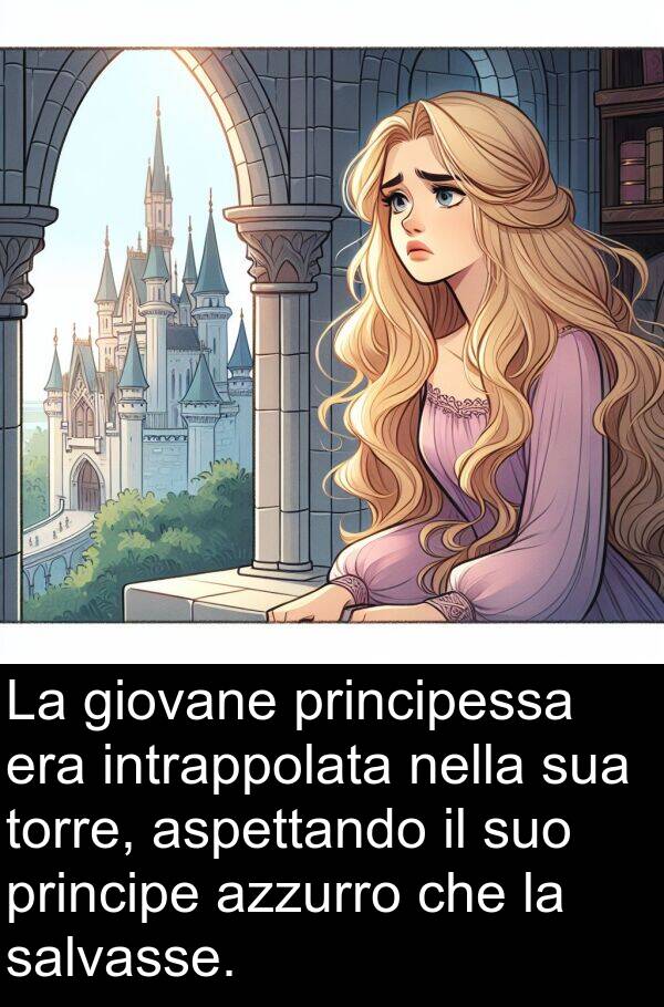 principessa: La giovane principessa era intrappolata nella sua torre, aspettando il suo principe azzurro che la salvasse.