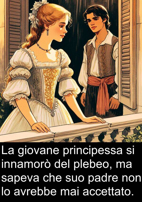 principessa: La giovane principessa si innamorò del plebeo, ma sapeva che suo padre non lo avrebbe mai accettato.