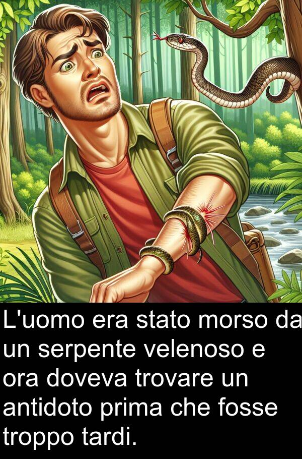 troppo: L'uomo era stato morso da un serpente velenoso e ora doveva trovare un antidoto prima che fosse troppo tardi.