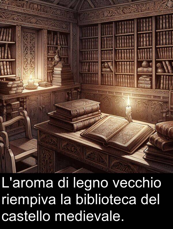 vecchio: L'aroma di legno vecchio riempiva la biblioteca del castello medievale.