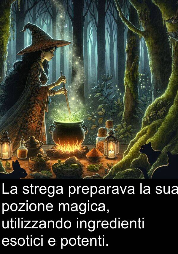 strega: La strega preparava la sua pozione magica, utilizzando ingredienti esotici e potenti.