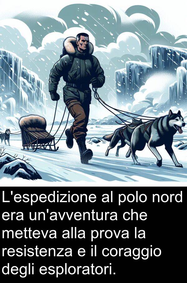 polo: L'espedizione al polo nord era un'avventura che metteva alla prova la resistenza e il coraggio degli esploratori.