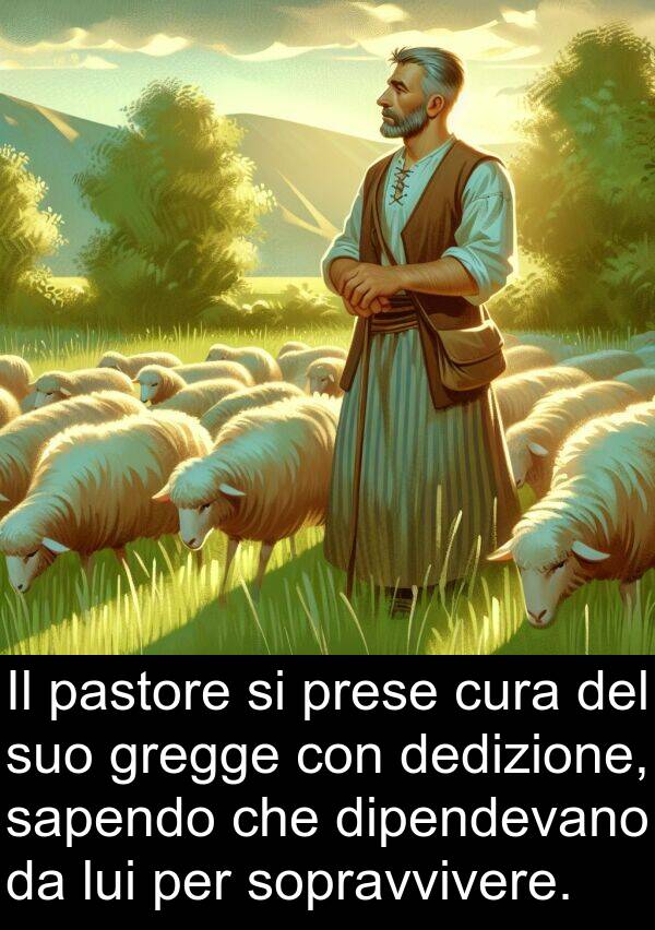 dedizione: Il pastore si prese cura del suo gregge con dedizione, sapendo che dipendevano da lui per sopravvivere.