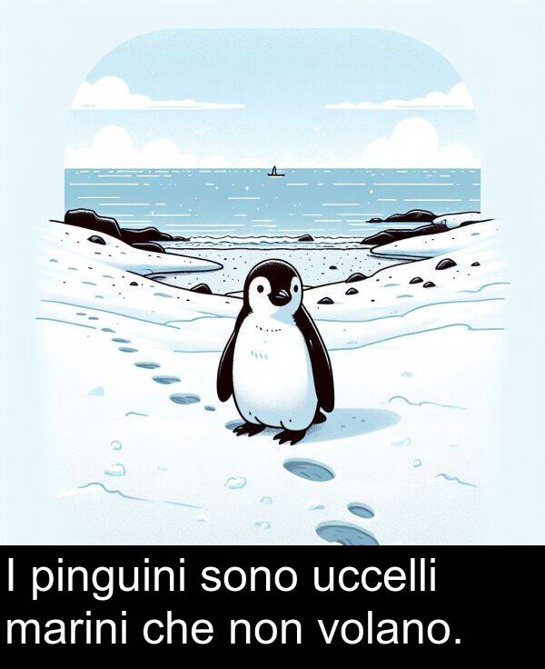 uccelli: I pinguini sono uccelli marini che non volano.