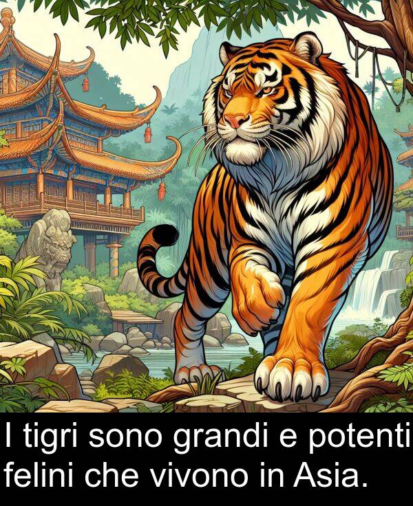 potenti: I tigri sono grandi e potenti felini che vivono in Asia.