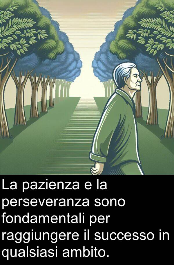 qualsiasi: La pazienza e la perseveranza sono fondamentali per raggiungere il successo in qualsiasi ambito.