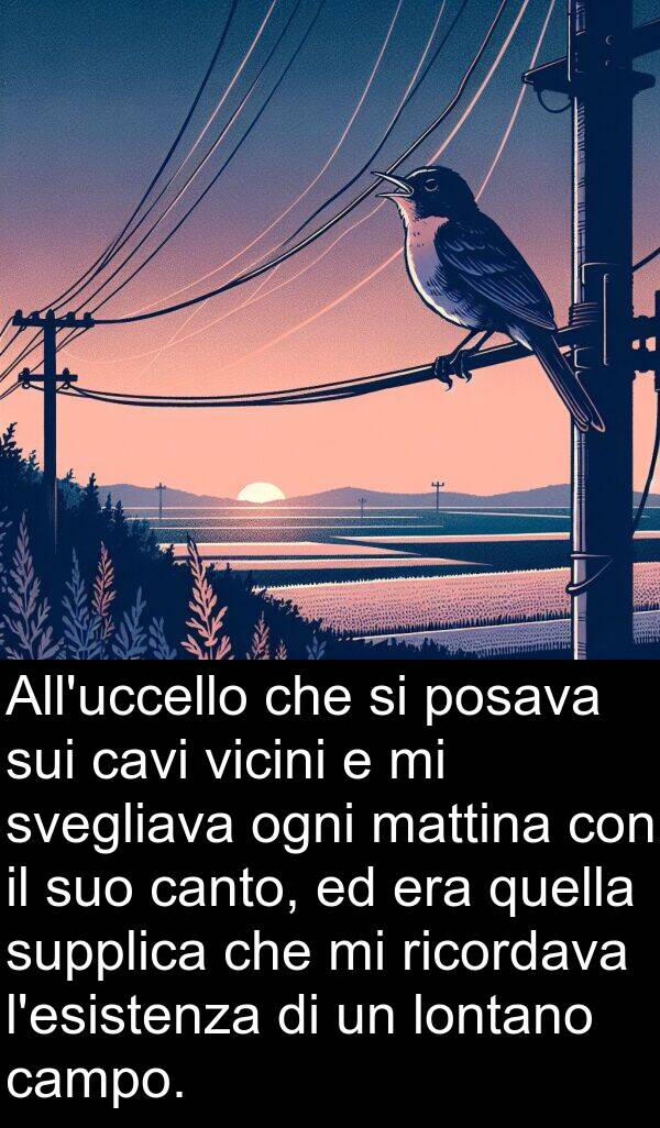 supplica: All'uccello che si posava sui cavi vicini e mi svegliava ogni mattina con il suo canto, ed era quella supplica che mi ricordava l'esistenza di un lontano campo.