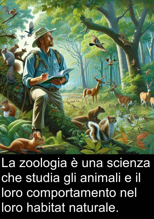 zoologia: La zoologia è una scienza che studia gli animali e il loro comportamento nel loro habitat naturale.