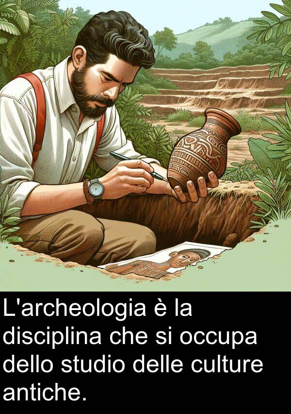 occupa: L'archeologia è la disciplina che si occupa dello studio delle culture antiche.