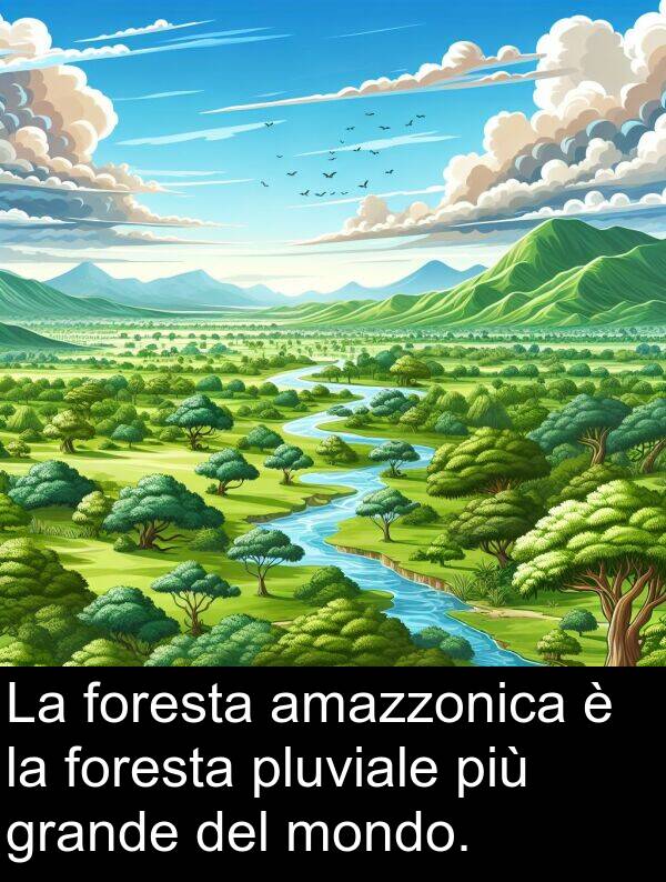 amazzonica: La foresta amazzonica è la foresta pluviale più grande del mondo.