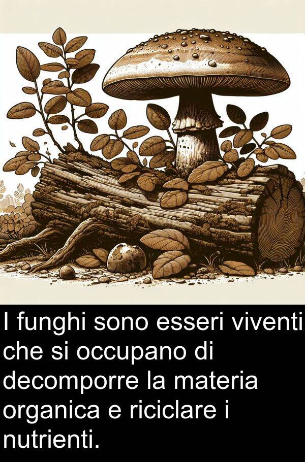 materia: I funghi sono esseri viventi che si occupano di decomporre la materia organica e riciclare i nutrienti.