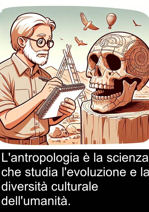 culturale: L'antropologia è la scienza che studia l'evoluzione e la diversità culturale dell'umanità.