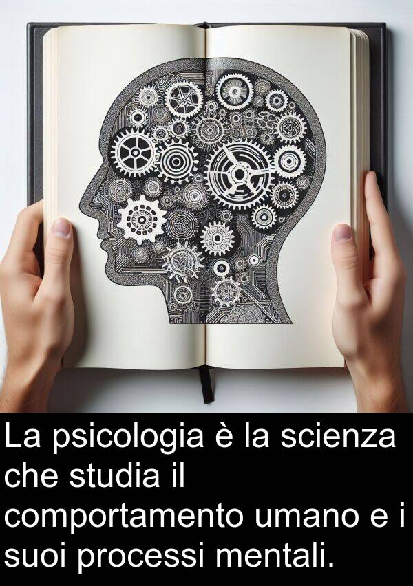 umano: La psicologia è la scienza che studia il comportamento umano e i suoi processi mentali.