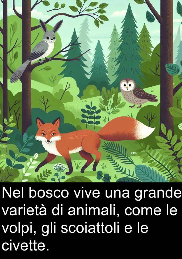 scoiattoli: Nel bosco vive una grande varietà di animali, come le volpi, gli scoiattoli e le civette.