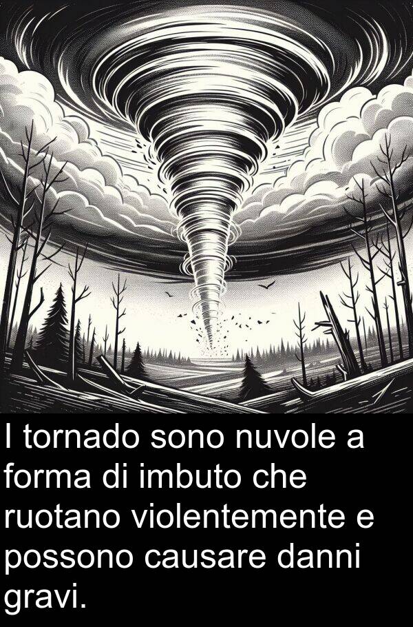 danni: I tornado sono nuvole a forma di imbuto che ruotano violentemente e possono causare danni gravi.