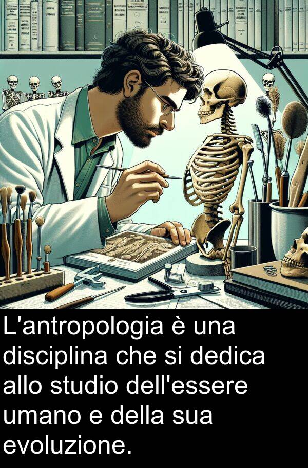 dedica: L'antropologia è una disciplina che si dedica allo studio dell'essere umano e della sua evoluzione.