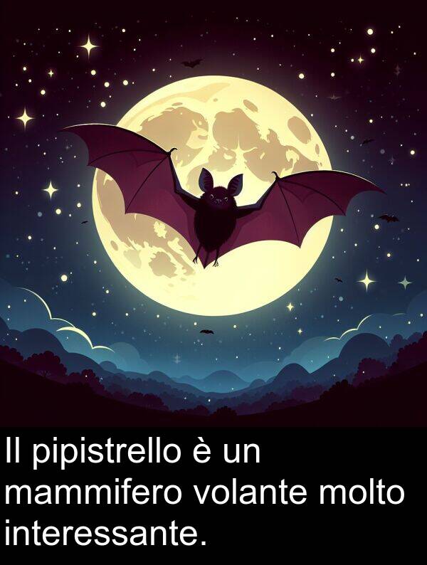 mammifero: Il pipistrello è un mammifero volante molto interessante.