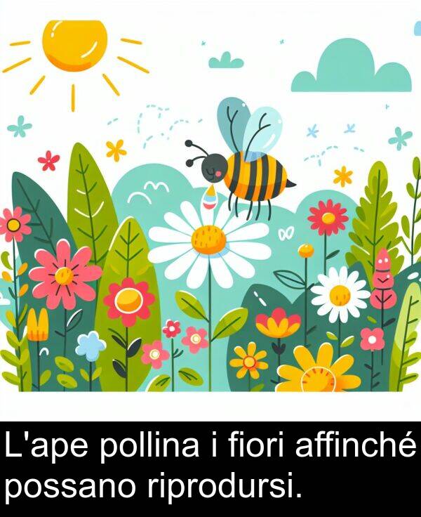 riprodursi: L'ape pollina i fiori affinché possano riprodursi.