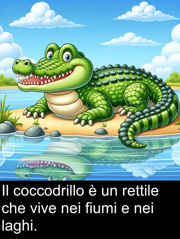 nei: Il coccodrillo è un rettile che vive nei fiumi e nei laghi.