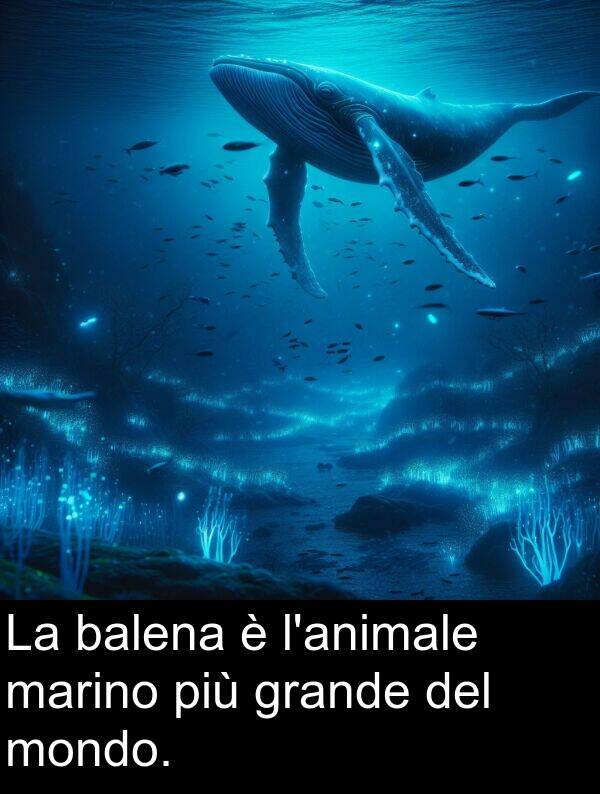 marino: La balena è l'animale marino più grande del mondo.