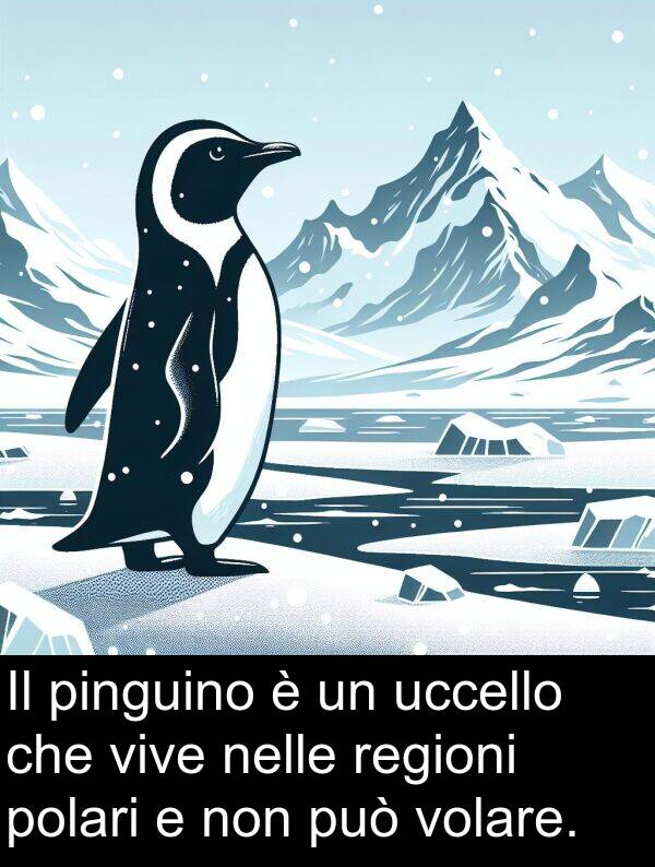 nelle: Il pinguino è un uccello che vive nelle regioni polari e non può volare.