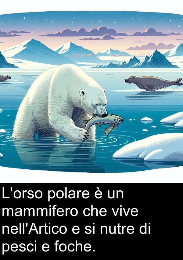 foche: L'orso polare è un mammifero che vive nell'Artico e si nutre di pesci e foche.