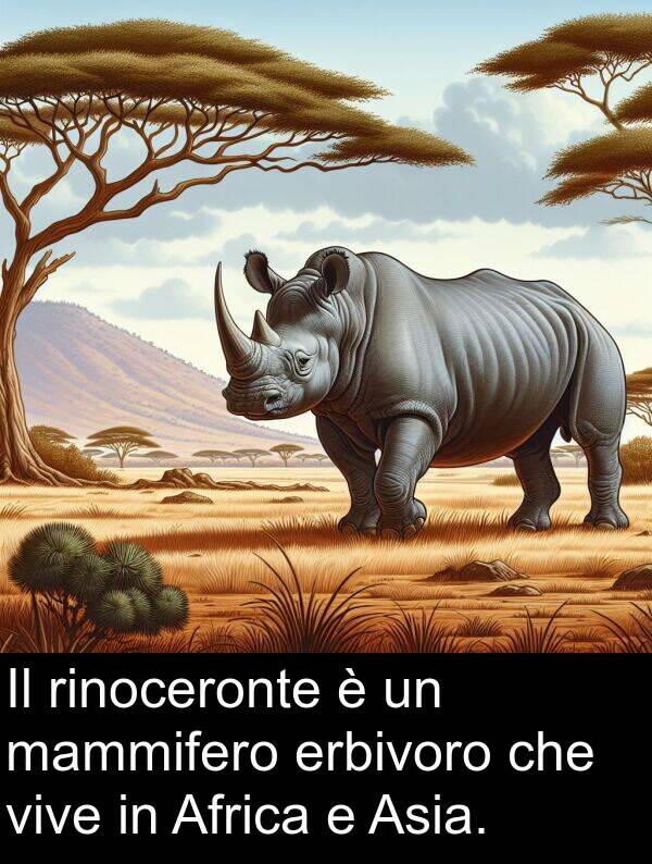 mammifero: Il rinoceronte è un mammifero erbivoro che vive in Africa e Asia.