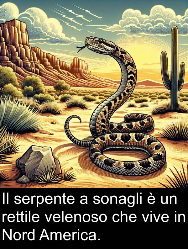 velenoso: Il serpente a sonagli è un rettile velenoso che vive in Nord America.