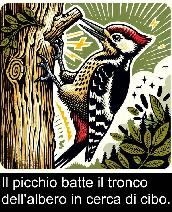 batte: Il picchio batte il tronco dell'albero in cerca di cibo.