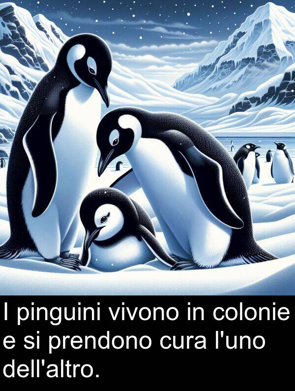 prendono: I pinguini vivono in colonie e si prendono cura l'uno dell'altro.