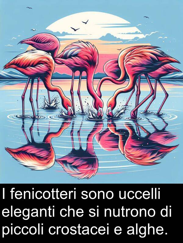 fenicotteri: I fenicotteri sono uccelli eleganti che si nutrono di piccoli crostacei e alghe.