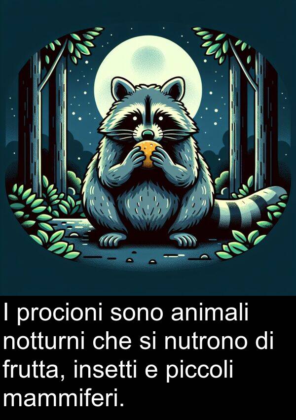 notturni: I procioni sono animali notturni che si nutrono di frutta, insetti e piccoli mammiferi.