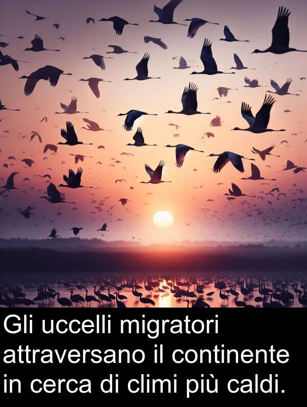 uccelli: Gli uccelli migratori attraversano il continente in cerca di climi più caldi.