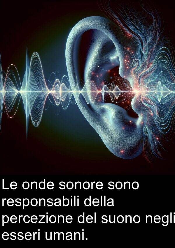 negli: Le onde sonore sono responsabili della percezione del suono negli esseri umani.