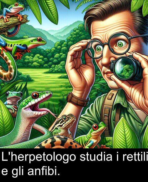 anfibi: L'herpetologo studia i rettili e gli anfibi.