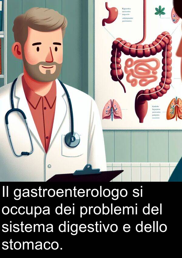 digestivo: Il gastroenterologo si occupa dei problemi del sistema digestivo e dello stomaco.