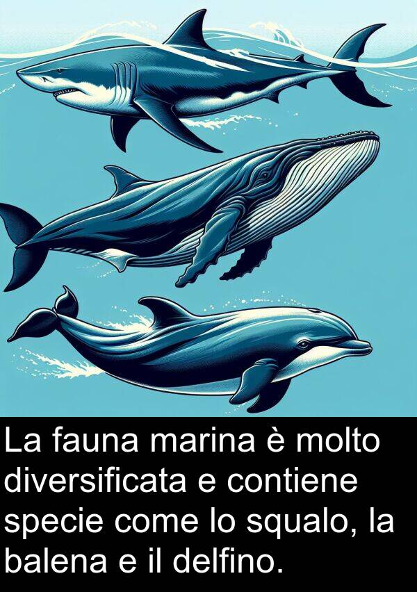 fauna: La fauna marina è molto diversificata e contiene specie come lo squalo, la balena e il delfino.