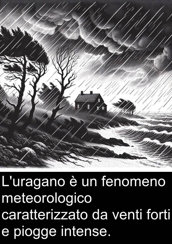 fenomeno: L'uragano è un fenomeno meteorologico caratterizzato da venti forti e piogge intense.