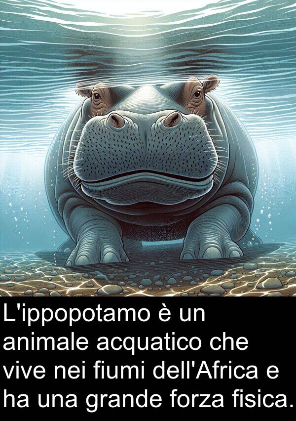 acquatico: L'ippopotamo è un animale acquatico che vive nei fiumi dell'Africa e ha una grande forza fisica.