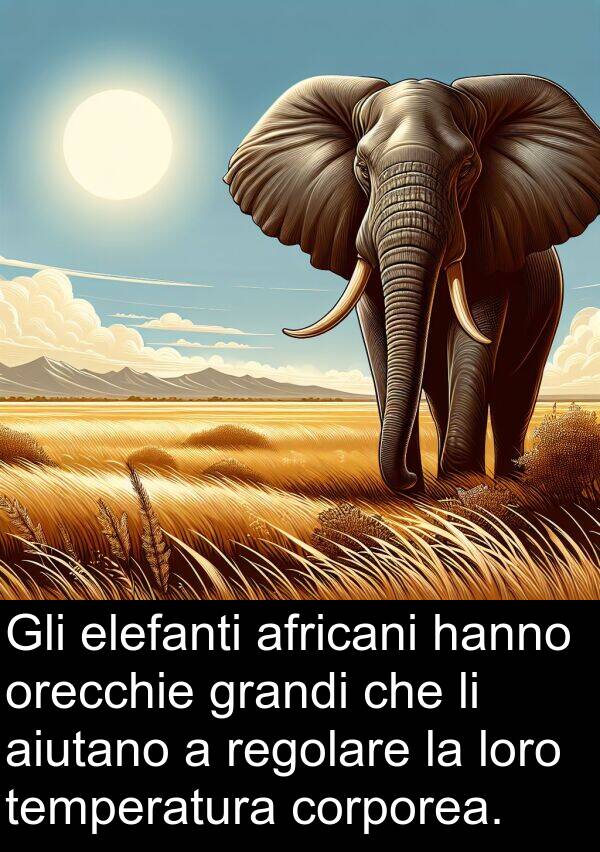 temperatura: Gli elefanti africani hanno orecchie grandi che li aiutano a regolare la loro temperatura corporea.