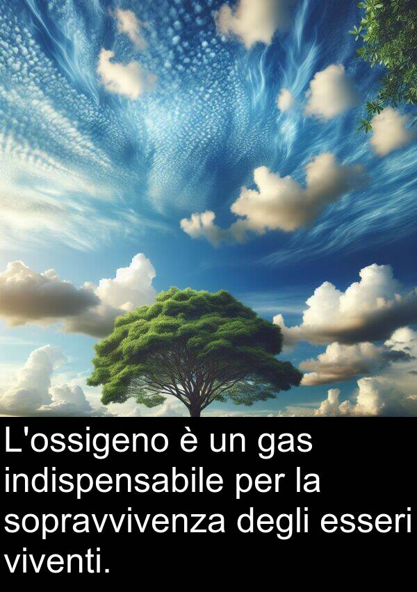 gas: L'ossigeno è un gas indispensabile per la sopravvivenza degli esseri viventi.