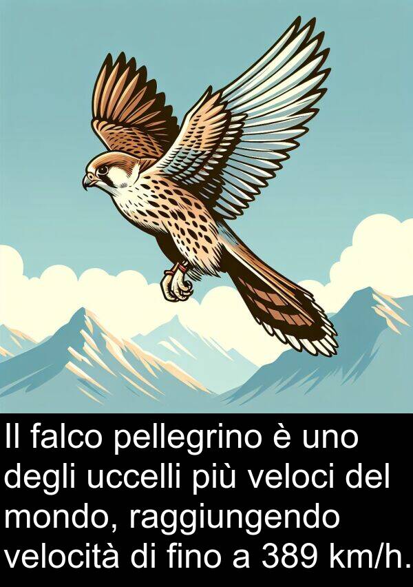 velocità: Il falco pellegrino è uno degli uccelli più veloci del mondo, raggiungendo velocità di fino a 389 km/h.