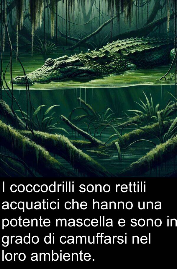 acquatici: I coccodrilli sono rettili acquatici che hanno una potente mascella e sono in grado di camuffarsi nel loro ambiente.